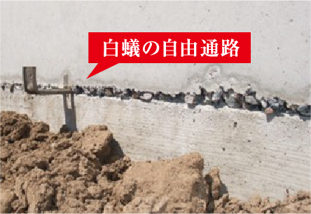 白蟻の自由通路