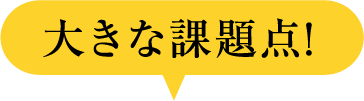大きな課題点!